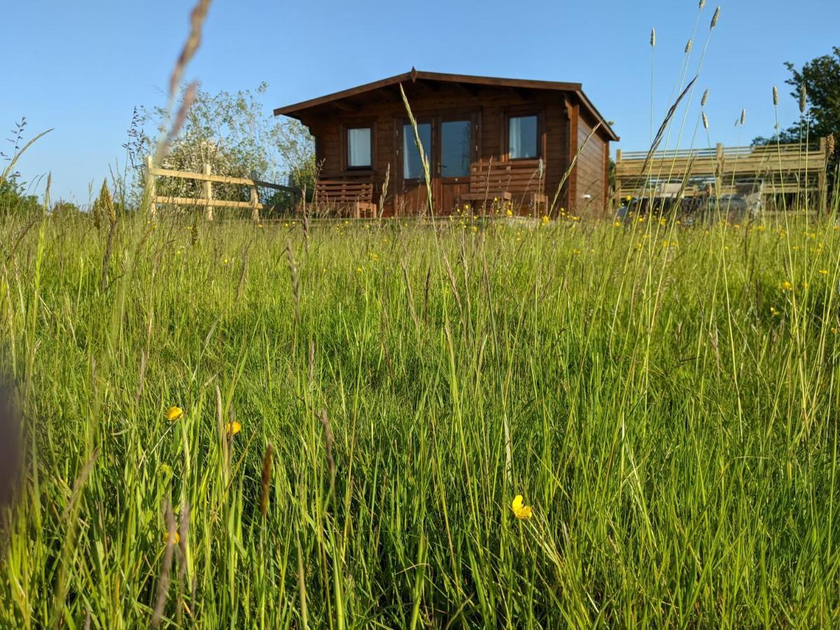 Foxhill Lodges Canterbury Buitenkant foto